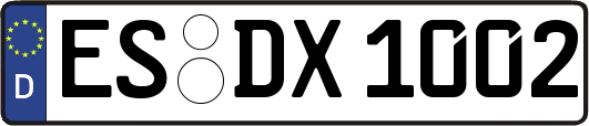 ES-DX1002