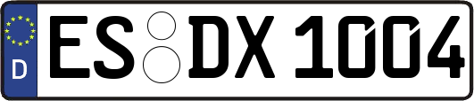 ES-DX1004