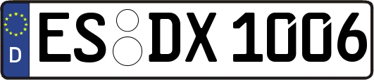 ES-DX1006