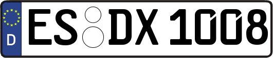 ES-DX1008