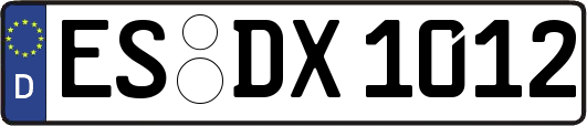 ES-DX1012
