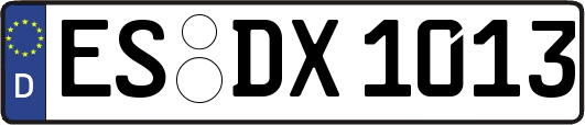 ES-DX1013