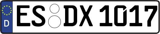 ES-DX1017