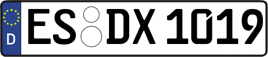 ES-DX1019