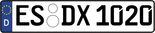 ES-DX1020