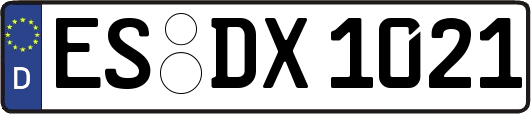 ES-DX1021