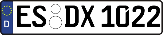 ES-DX1022