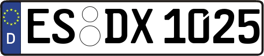 ES-DX1025