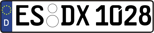 ES-DX1028