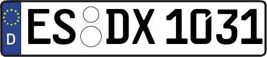 ES-DX1031