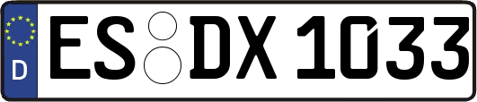 ES-DX1033
