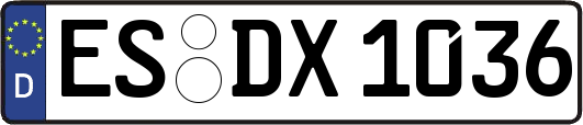 ES-DX1036