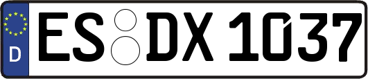 ES-DX1037