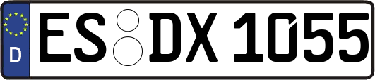 ES-DX1055