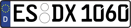ES-DX1060