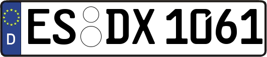 ES-DX1061