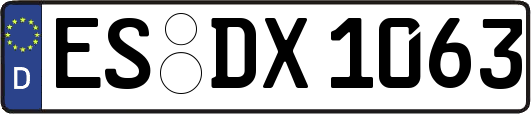 ES-DX1063