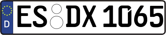 ES-DX1065