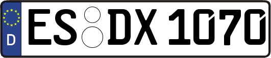 ES-DX1070