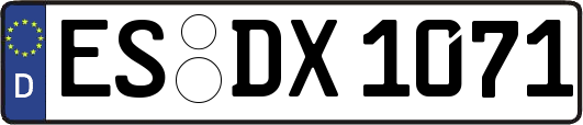 ES-DX1071