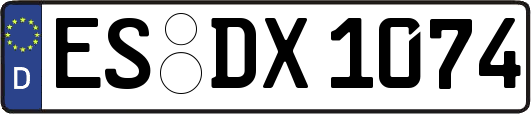 ES-DX1074