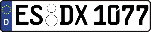 ES-DX1077