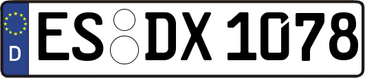 ES-DX1078