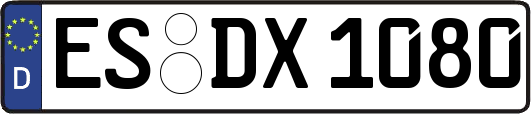 ES-DX1080