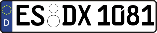 ES-DX1081