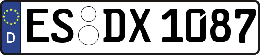 ES-DX1087
