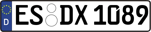 ES-DX1089