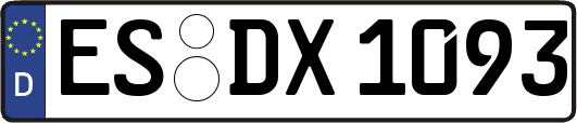 ES-DX1093