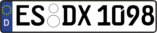 ES-DX1098