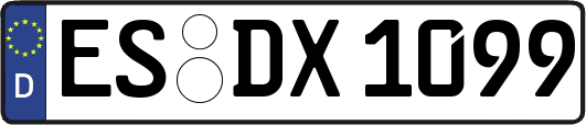 ES-DX1099