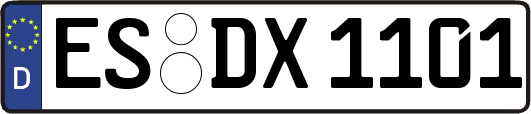 ES-DX1101