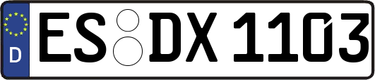 ES-DX1103