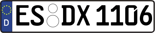 ES-DX1106