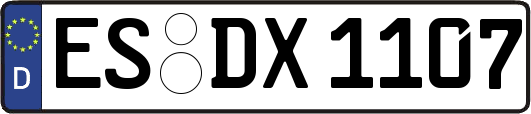ES-DX1107