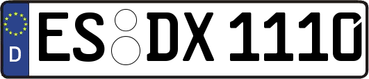 ES-DX1110