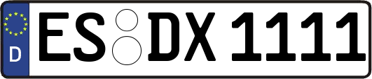 ES-DX1111