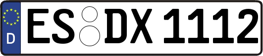 ES-DX1112