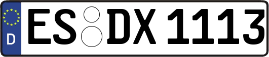 ES-DX1113