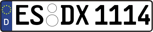 ES-DX1114