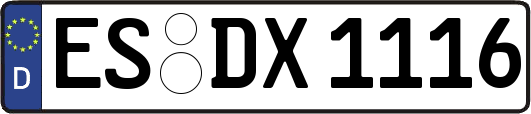 ES-DX1116