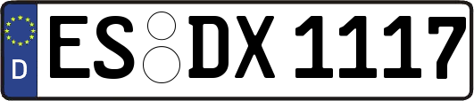 ES-DX1117