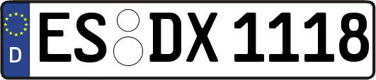 ES-DX1118