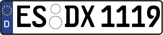 ES-DX1119