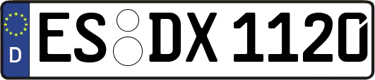 ES-DX1120
