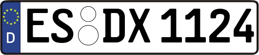 ES-DX1124