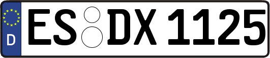 ES-DX1125